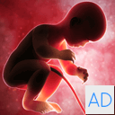 Baby Run 4D - Run 1 2 3